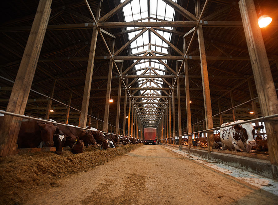 Bauernhof-Landwirschaftlicher-Betrieb-verkaufen-Jens-Wilken-Nord-Agrar-Wirtschaftsdienste