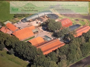 Milchviehbetrieb-in-Friesland-NAW-Nord-Agrar-Wirtschaftsdienste-Jens-Wilken-2020