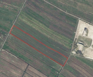 NAW-Nord-Agrar-Wirtschaftsdienste-Jens-Wilken-Gruenland-Elsfleth-LK-Wesermarsch-2021