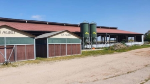 NAW-Nord-Agrar-Wirtschaftsdienste-Jens-Wilken-Milchviehbetrieb-naehe-Nienburg-Stall-aussen-2022