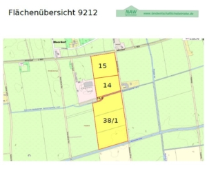 Verpachtung-Gruenland-Elsfleth-Mooriem-Jens-Wilken-NAW